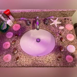 Sunset colored dollar shells and large hermit crab shells. Table top decor.